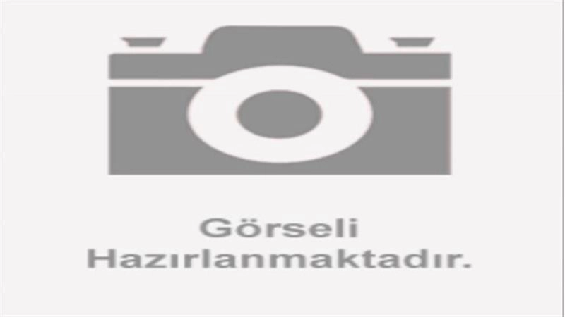 RKS NEWLIGHT PRO (KUBA) ARKA FREN MERKEZİ ALT KISIM HİDROLİK HORTUMU Orijinal