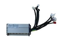 ARORA PANTER 249 BEYİN 72V.
