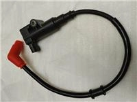 ARORA GT 250MAX ATEŞLEME BOBİNİ