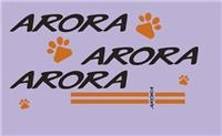 ARORA ANGEL PRO YAN KAPAK ARMASI (ARORA)