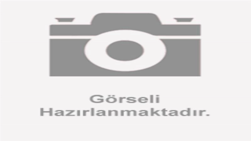 ENJEKTÖR BAŞLIĞI (RANGMAO) (NEW EFI) (SPONTINI110)