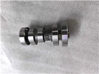 ARORA CP250 EKSANTRİK MİLİ VE DİŞLİSİ