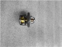 ARORA CP250 TERMOSTAT
