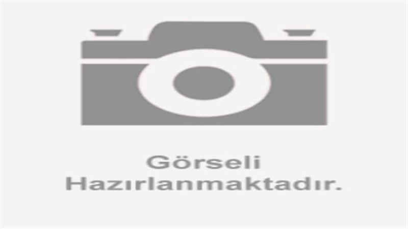 RKS GALAXY GOLD ARKA DİSK BALATASI TAKIM Orijinal