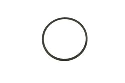 MONDIAL 250 MCT SEGMAN (90X99X0.9)