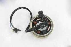 MONDIAL 100 NT TURKUAZ ALTERNATOR KOMPLE (2016)