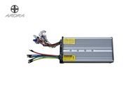ARORA E-KARGO BEYİN (1500W)