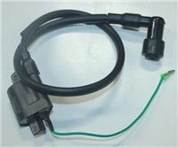 ARORA AR150-5 ATEŞLEME BOBİNİ
