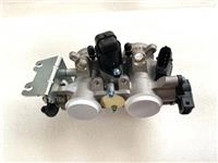 ARORA GP250 GAZ KELEBEĞİ KOMPLE