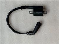 ARORA MOJITO PRO-S ATEŞLEME BOBİNİ