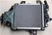 ARORA GT 125 RADİYATÖR