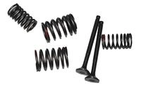 ARORA AR125-25 VERANO EMME-EKSOZ SİBOBU