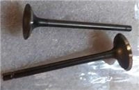 ARORA HUNTER EMME-EKSOZ SİBOBU