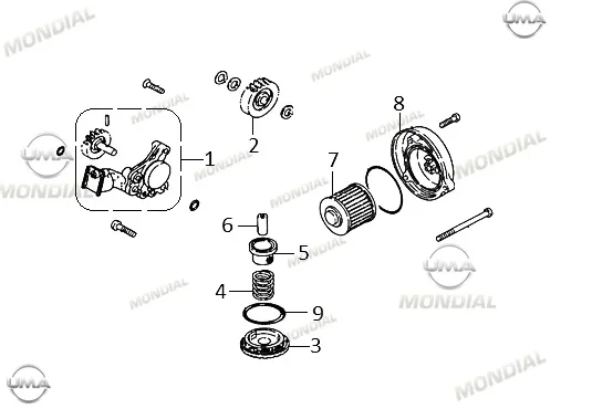MONDIAL 250 NEVADA YAG POMPASI KOMPLE