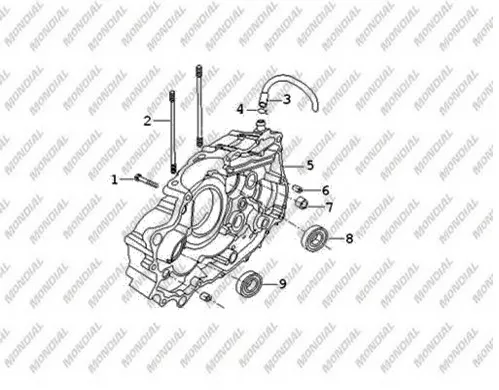 MONDIAL X-TREME MAX 150 RULMAN 6303