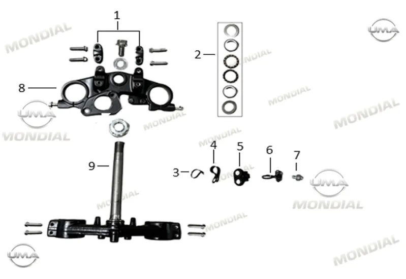 MONDIAL X-TREME MAXX 250 I (E5+) ON MASA