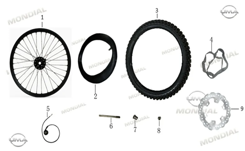 MONDIAL X-TREME MAXX 250 I (E5+) IC LASTIK KOLONU (22X1446)