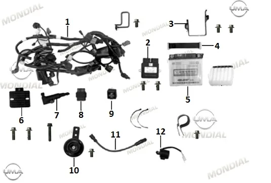 MONDIAL RX1 ECU