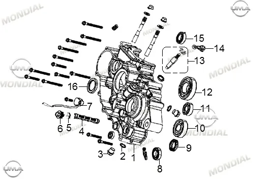MONDIAL RX3 İ EVO 250 ABS_18 YAG TAHLIYE TAPASI