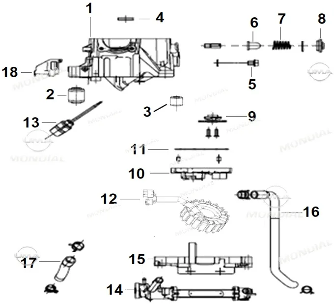 MONDIAL 125 RESSIVO i RADYATOR SU BORUSU CIKIS