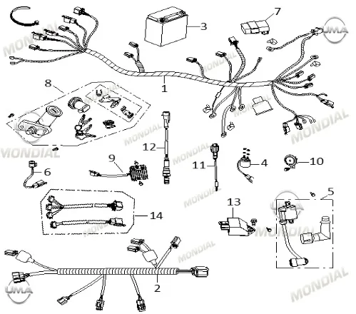 MONDIAL 50 EAGLE REGULATOR