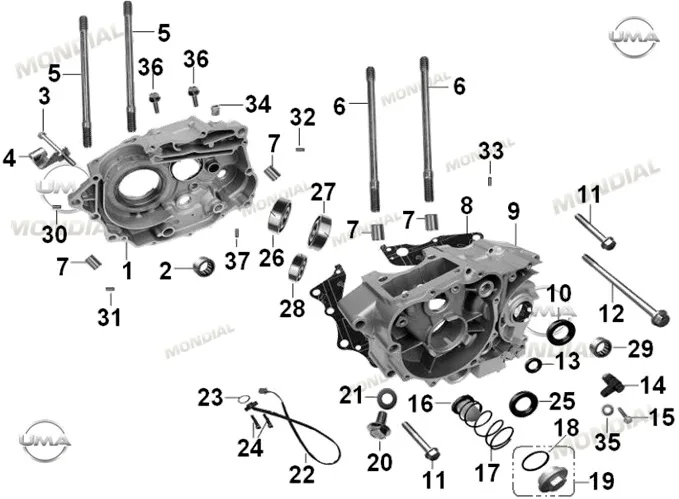 MONDIAL 50 UAG ec YAG TAPASI