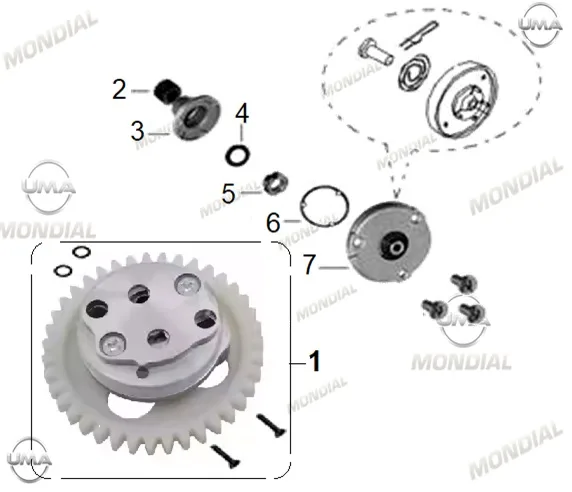 MONDIAL 50 UAG ec YAG POMPASI ROTOR DISLISI