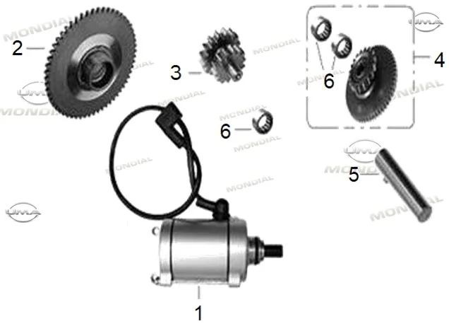 MONDIAL 50 UAG ec ARA DISLI