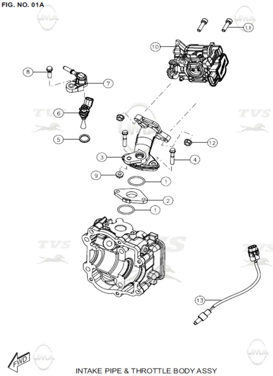 TVS JUPITER ENJEKTOR O-RINGI