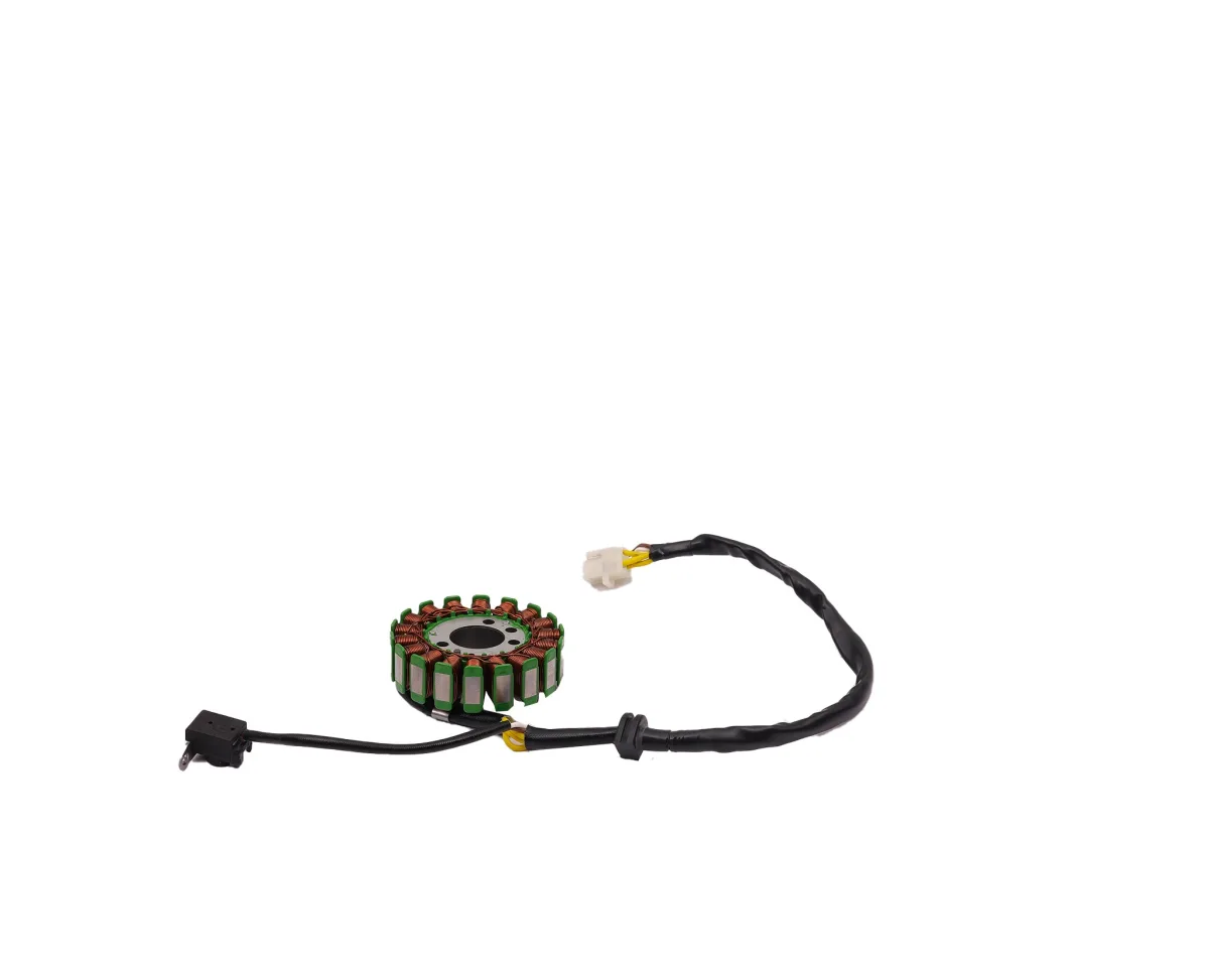 TVS APACHE RTR 200 e4 STATOR