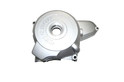 MONDIAL 110 HECTOR_11 (Off Road) KRANK KUTUSU SOL KAPAK