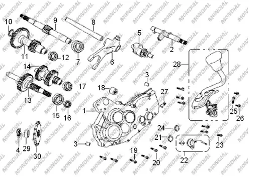 MONDIAL 150 VULCAN VITES DEGISTIRME KOLU