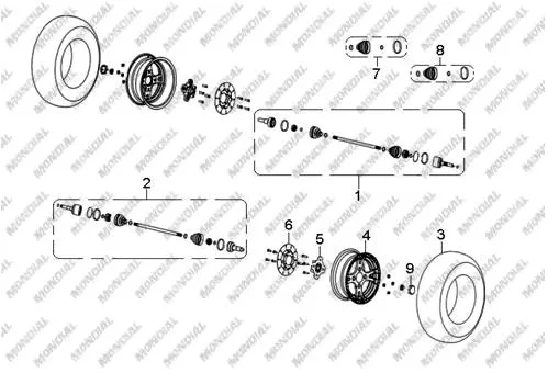 MONDIAL TERRALENDER 800 VINC MOTORU KOMPLE
