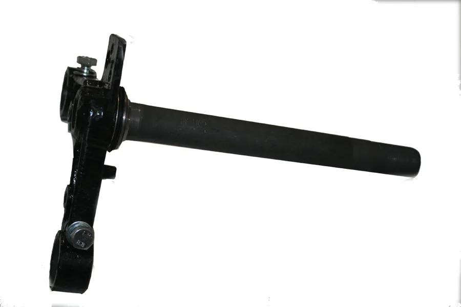MONDIAL 100 HYENA ON MASA
