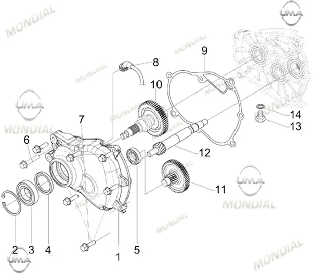 MONDIAL RESSIVO 250 ARA DISLI