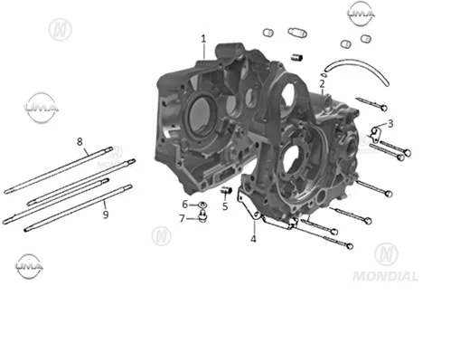MONDIAL 100 SFC AUTOMATIC KRANK KUTUSU SAG