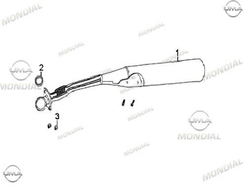 MONDIAL 100 SFC EXCULISIVE EGZOZ KOMPLE