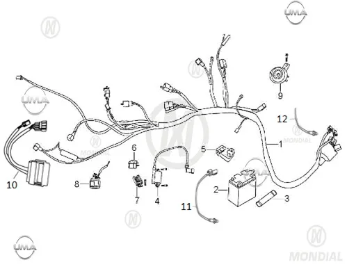 MONDIAL 100 SFC EXCULISIVE REGULATOR