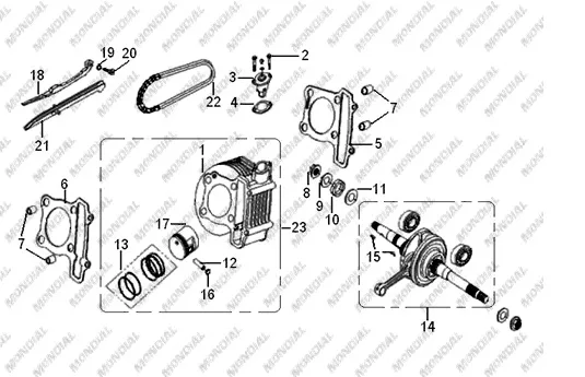 MONDIAL 100 LOYAL KRANK KOMPLE
