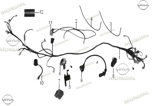 MONDIAL 100 LOYAL _16 REGULATOR