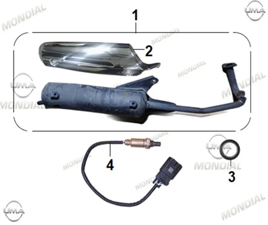 MONDIAL EXON 50 EGZOZ KOMPLE (SIYAH)