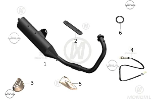 MONDIAL DRIFT L 125 EGZOZ (E5)