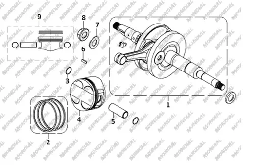 CF MOTO 250CL-X SOMUN M16x1
